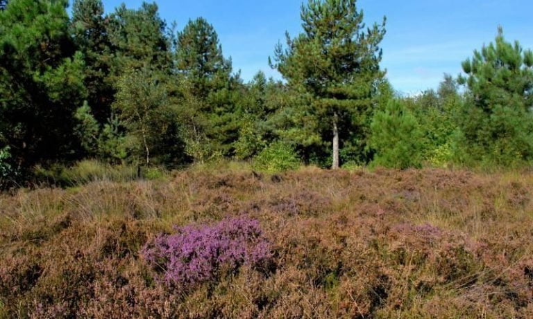 dagje uit in West-Brabant