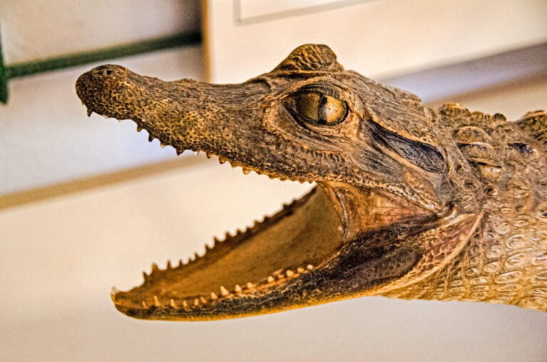 Photo’s by @adrianusLaros