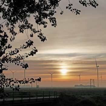 Hoevense Beemden Henk Schel2