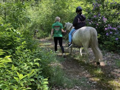 Maple farm adventures ponyrit