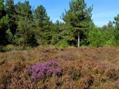 dagje uit in West-Brabant