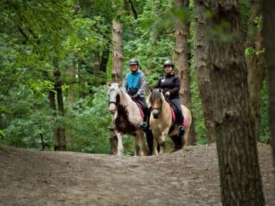 forest ride