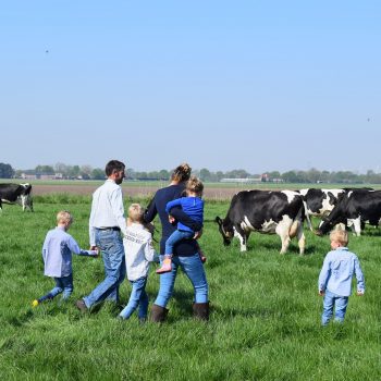 de familie Rommens