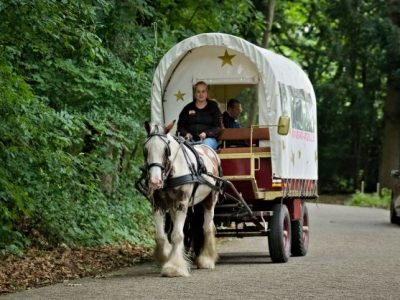 covered wagon rides